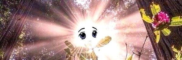 benoit_tokyo_ Profile Banner