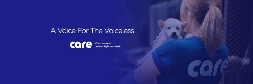 FromCareKorea's profile banner image