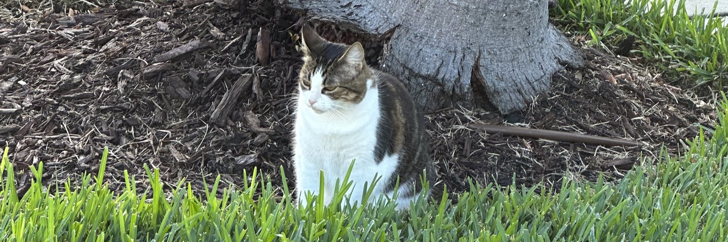 Darren Rademaker banner