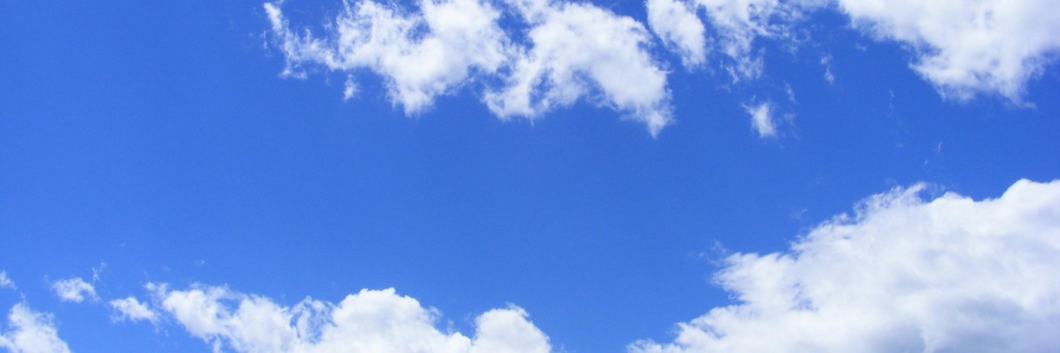 Sarah Nicholas banner