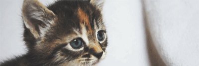 _19Gloria_'s profile banner image