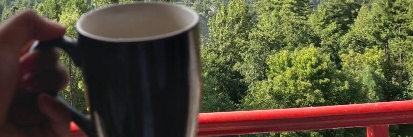 The Muslim warrior banner