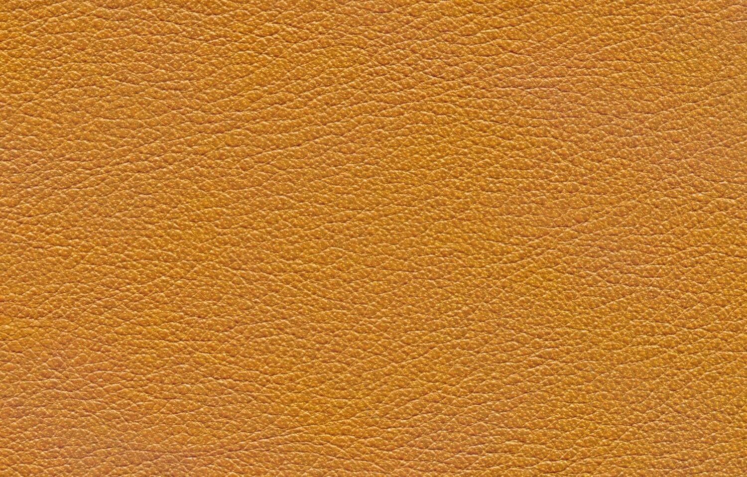 aiecan's profile banner image