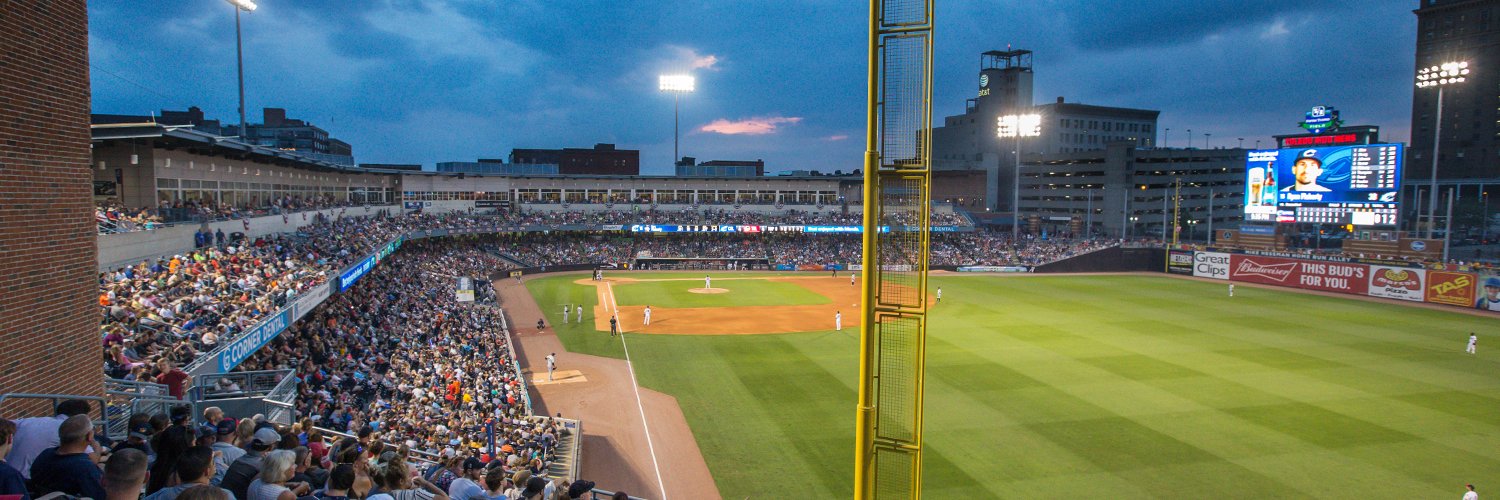 Toledo Mud Hens's banner