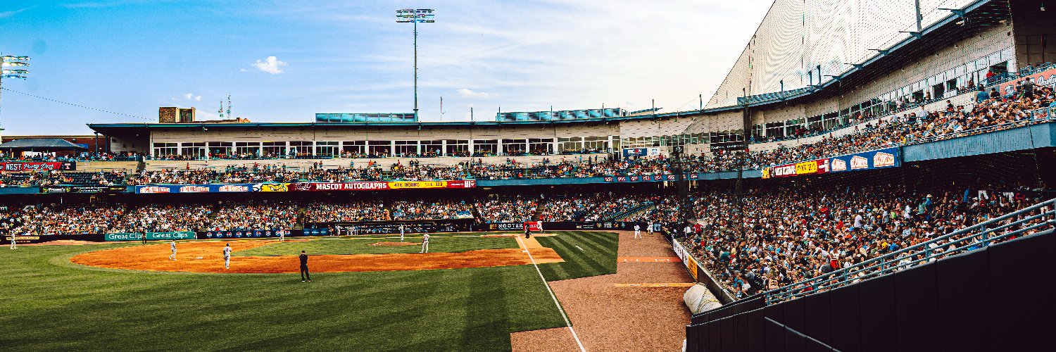 Toledo Mud Hens banner