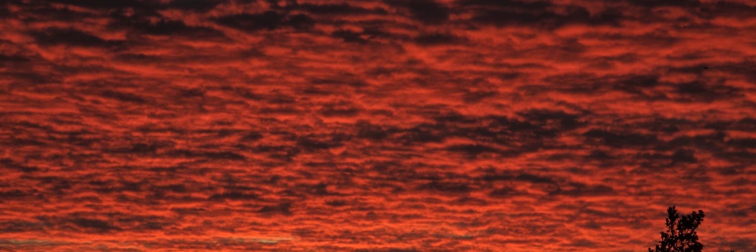 Steve Cochran banner