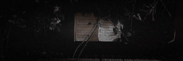 Kaevan 🌖 banner
