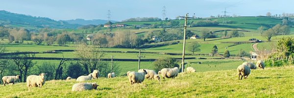 robertnewbery Profile Banner