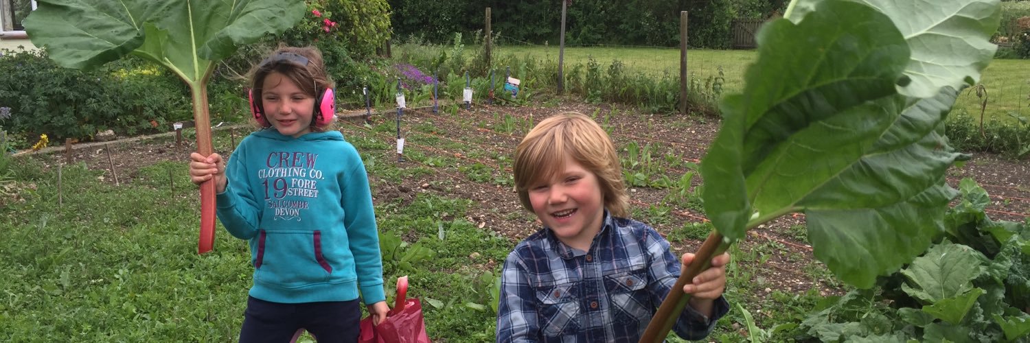 Rebecca Mayhew banner