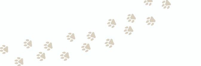 ph3mm's profile banner image