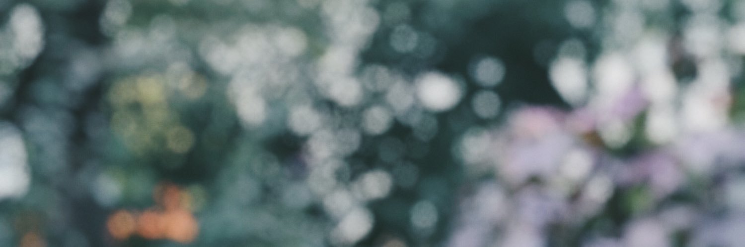 shvlara's profile banner image
