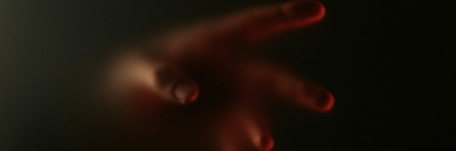 Dominik banner