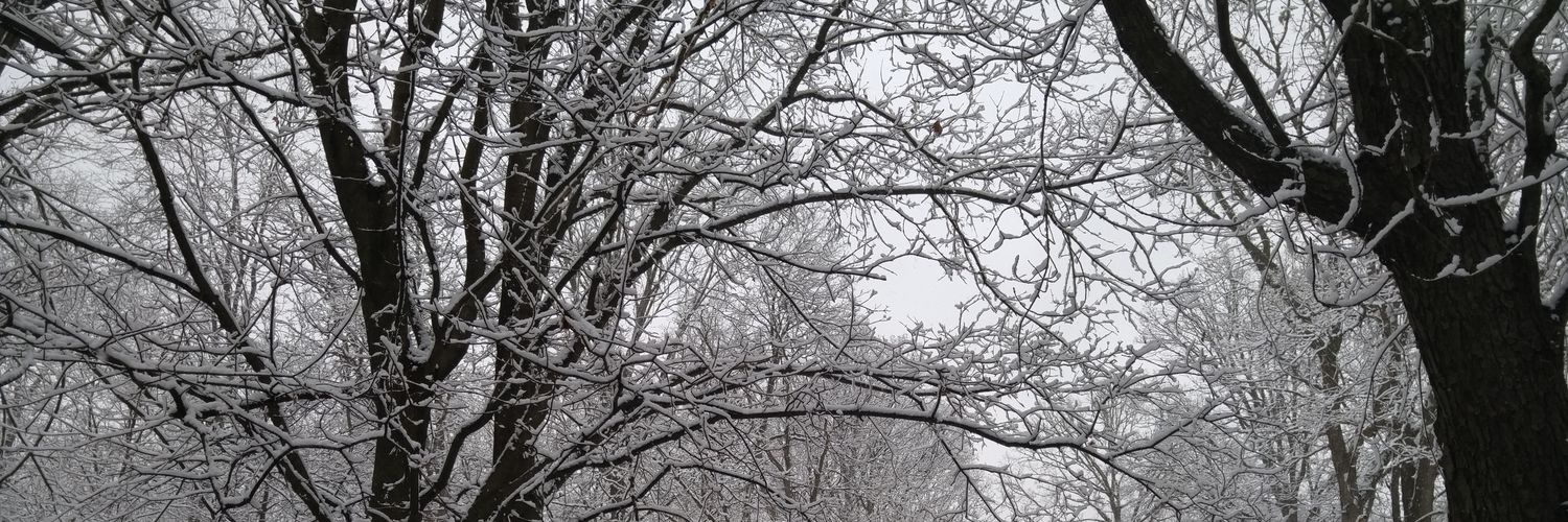 Jamar501's profile banner image