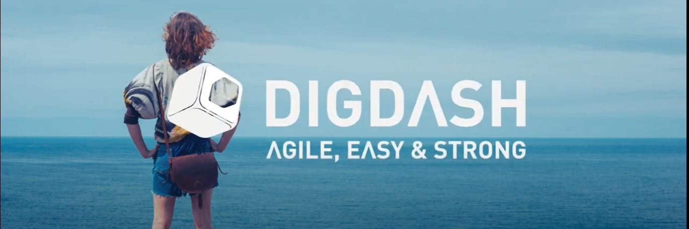 DigDash banner
