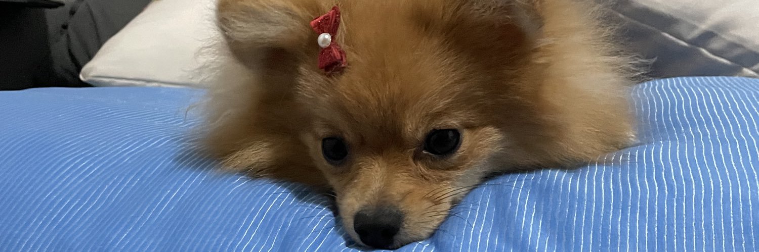 mbcrdhrss's profile banner image