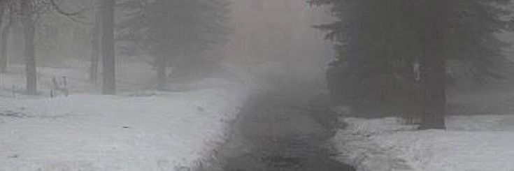 #lovestay🍒 banner