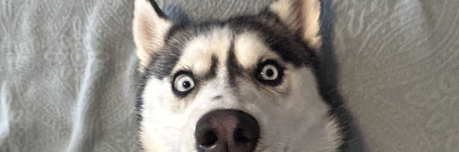 ClaireDontKnowU's profile banner image
