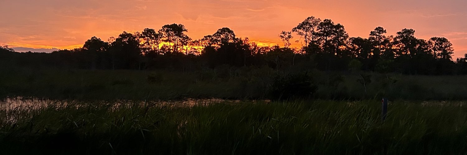 HiggsBlake's profile banner image