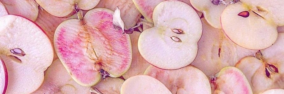 nene 𑣿 | 🧊 banner