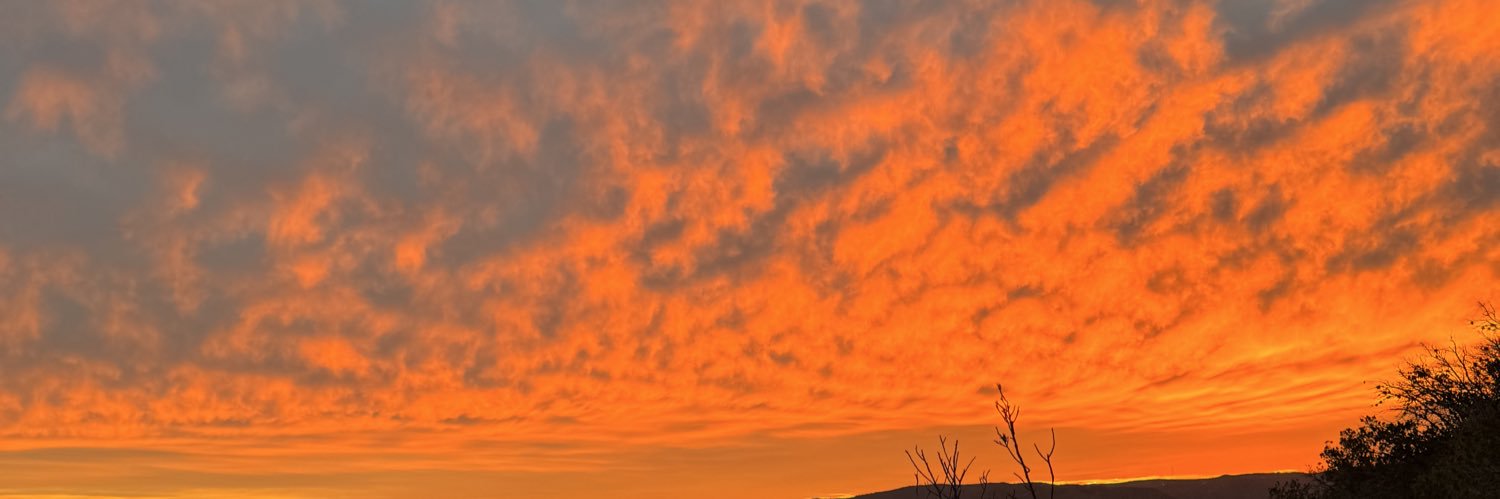 hector_h99's profile banner image