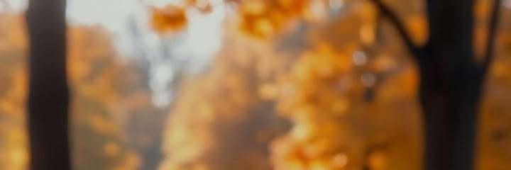 MFnfhfb's profile banner image
