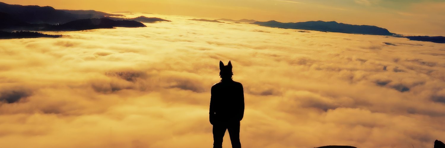 Lobão de Mairiporã banner