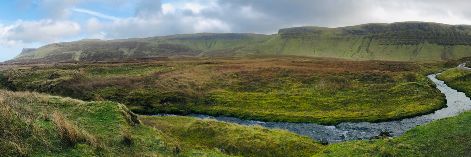 Brenda L Romero banner