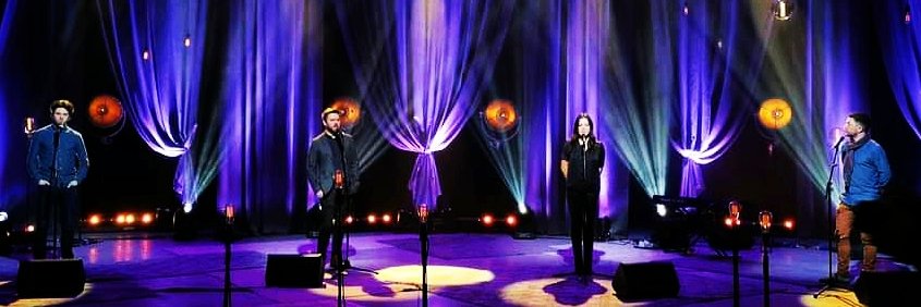 Siubhán O'Connor banner