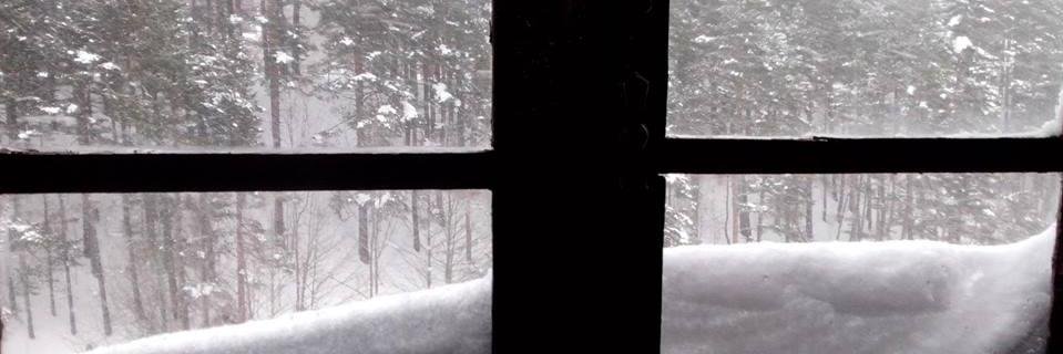 Andrea Bonafonte banner