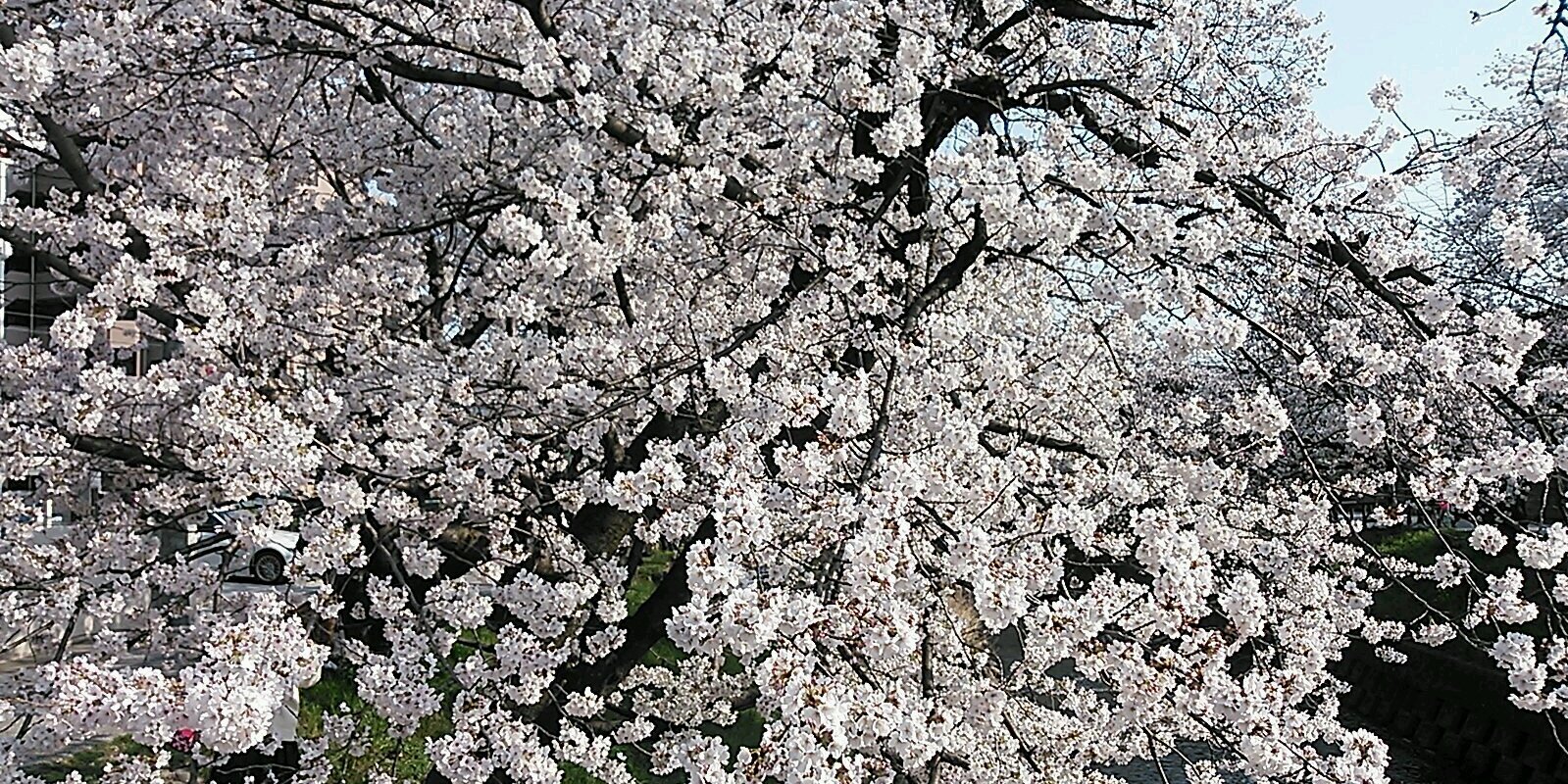 h93ayame's profile banner image