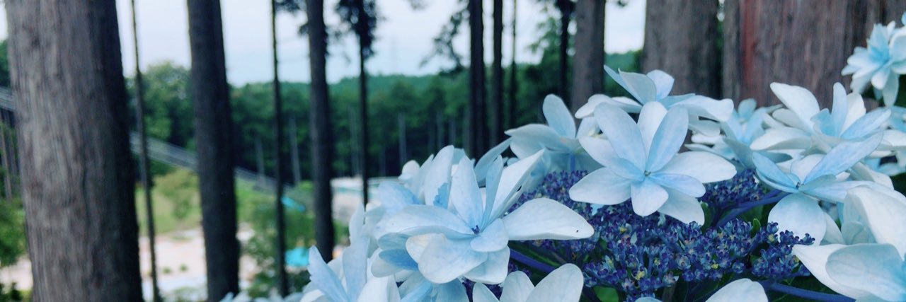 hrh_xx's profile banner image