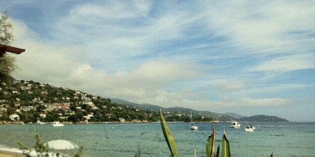 Tom Grabowski banner