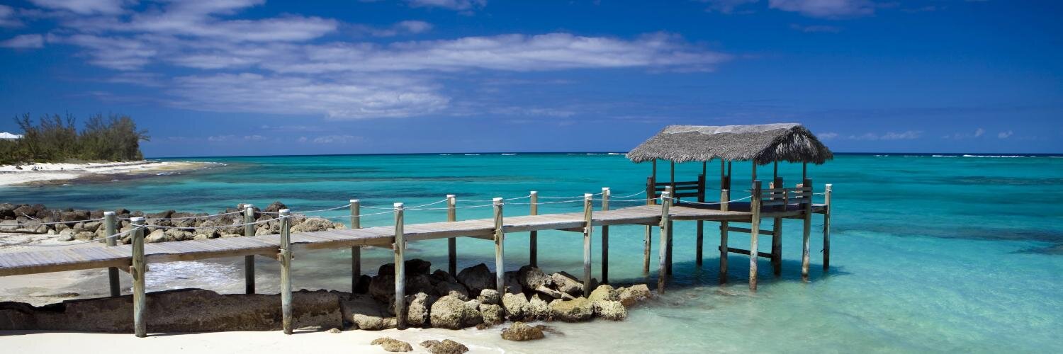 Michelle Deal banner