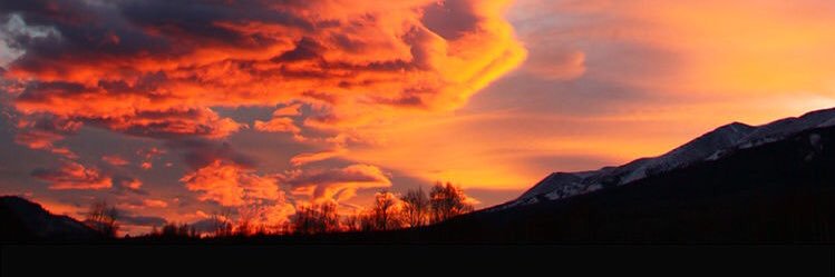 hollsheff86's profile banner image