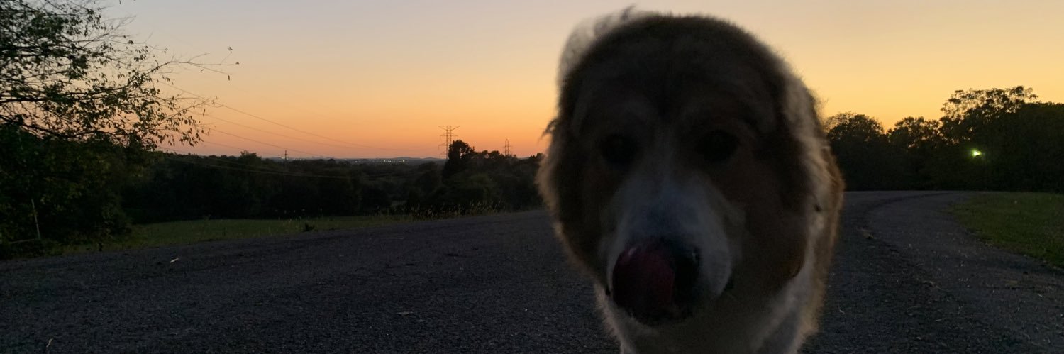 BolingerMaggie's profile banner image