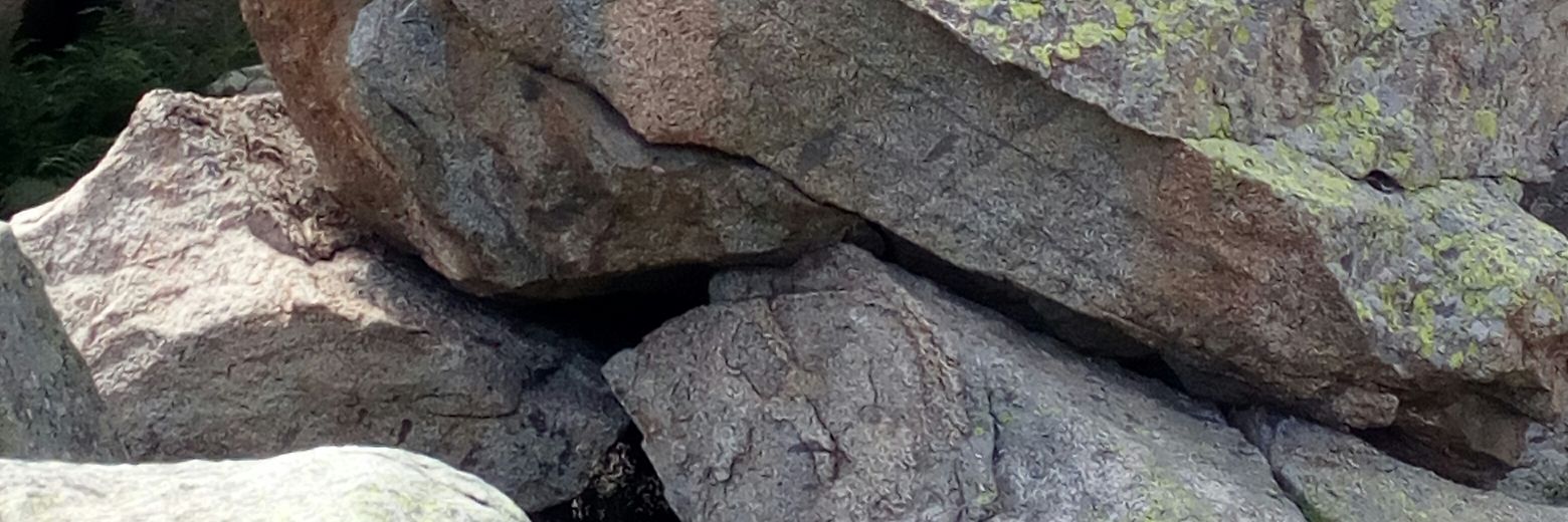 ranacoixo's profile banner image