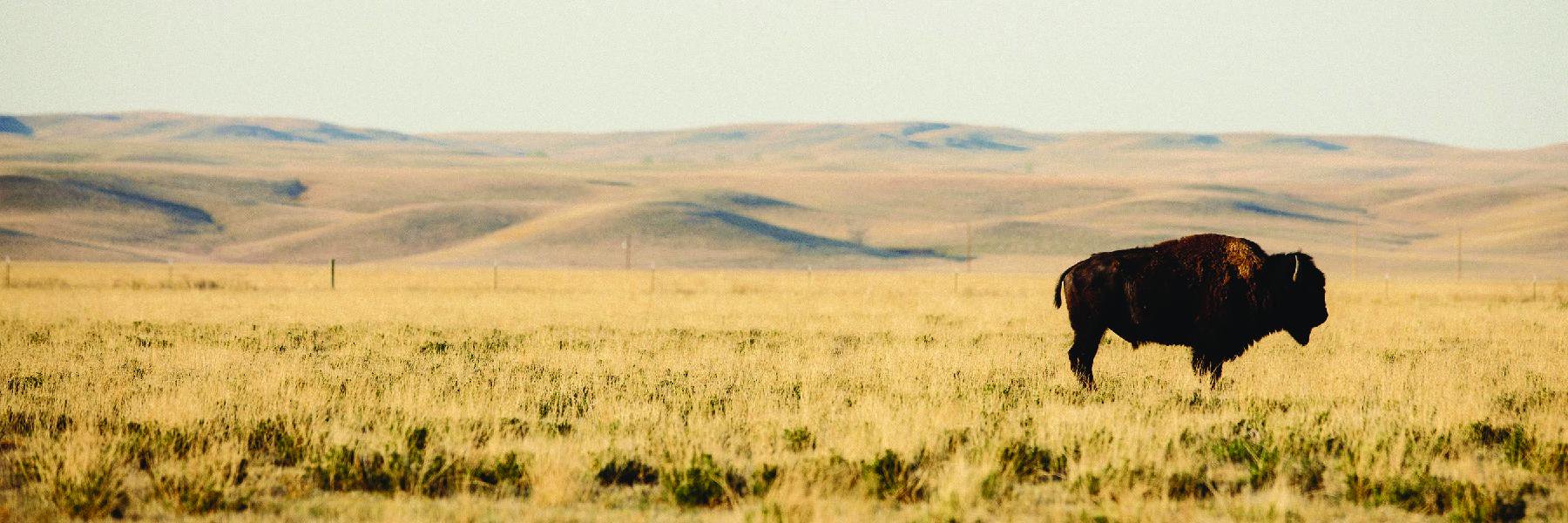 TheFarmhouseMag's profile banner image