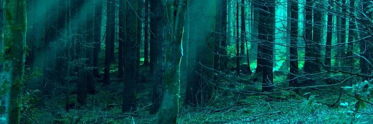 restless57's profile banner image