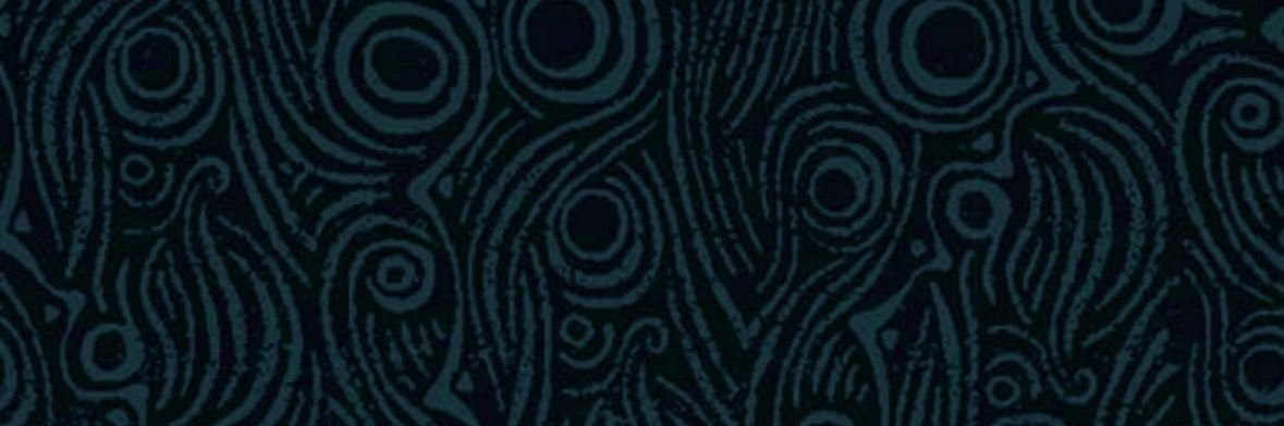 thefuturesteve.sol banner