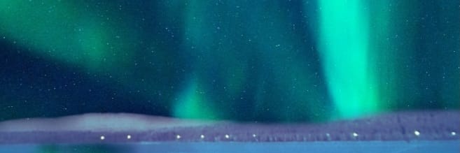 Michael Sills banner