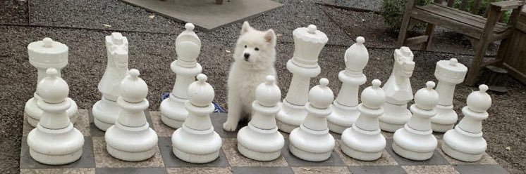 𝒉𝒆𝒚🗯️ banner