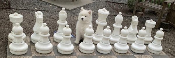 orzsendhelp Profile Banner