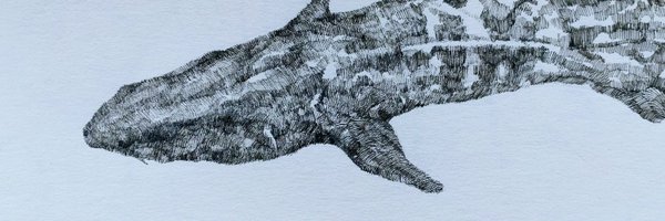 yamatoki_shake Profile Banner