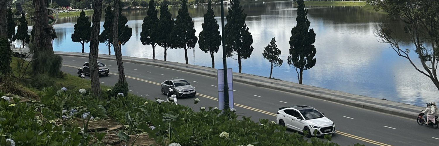 Nguyen banner