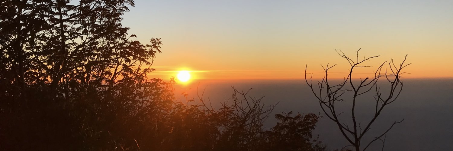 redbeanpie__'s profile banner image