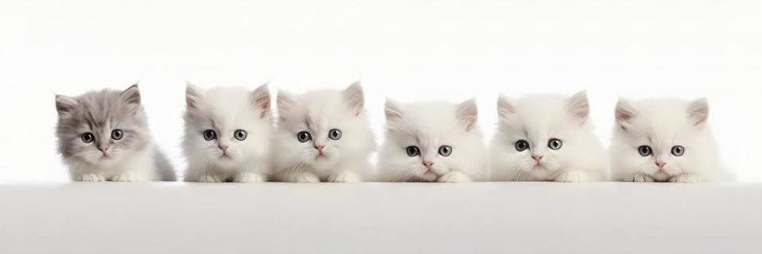 TARİCATÇI MIRNAVULLAH HOCA banner