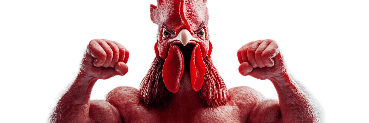 UFC Rooster banner