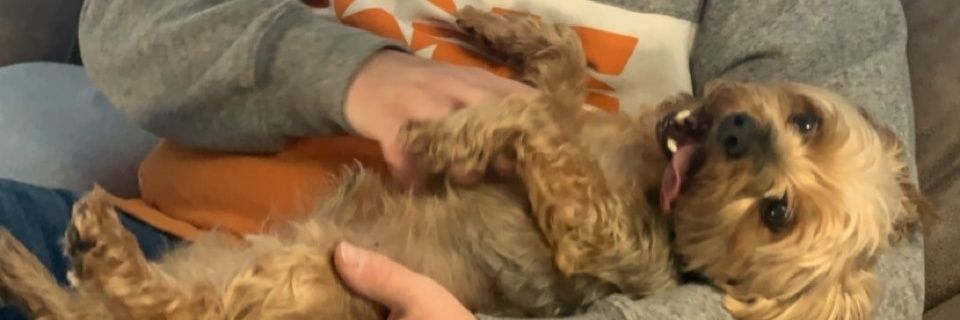 peytonlane34's profile banner image