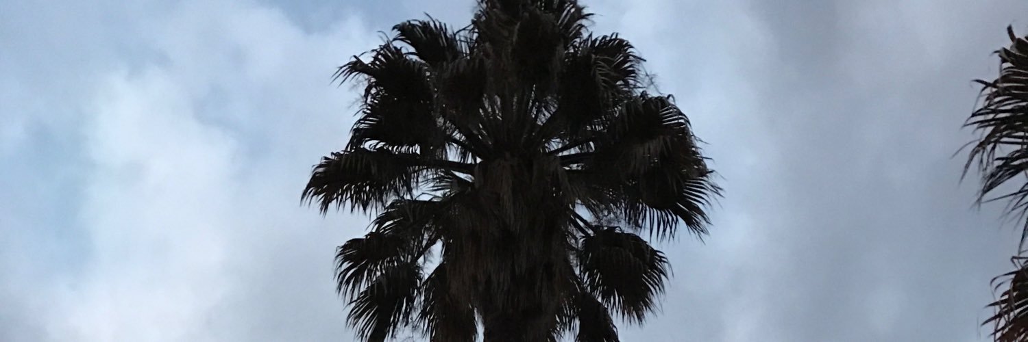 CodyMerow's profile banner image