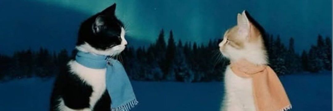 Nico | KONAN 🎗️ banner